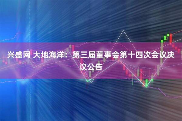 兴盛网 大地海洋：第三届董事会第十四次会议决议公告