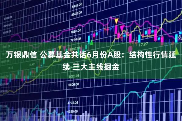 万银鼎信 公募基金共话6月份A股：结构性行情延续 三大主线掘金