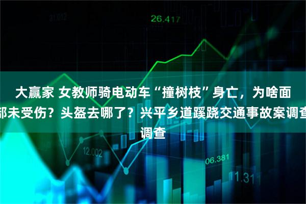 大赢家 女教师骑电动车“撞树枝”身亡，为啥面部未受伤？头盔去哪了？兴平乡道蹊跷交通事故案调查