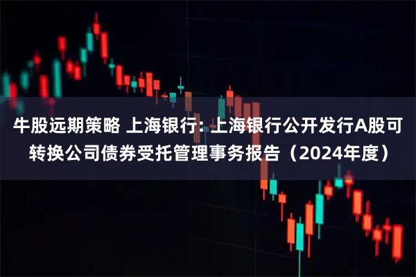 牛股远期策略 上海银行: 上海银行公开发行A股可转换公司债券受托管理事务报告（2024年度）