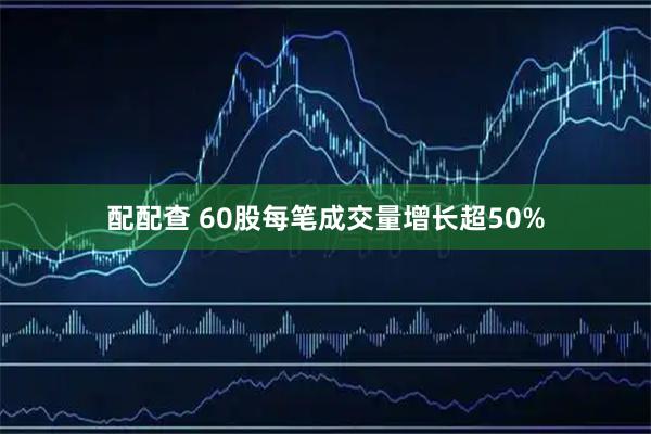 配配查 60股每笔成交量增长超50%
