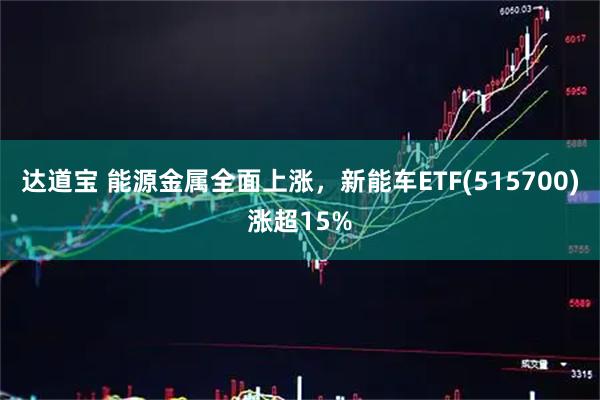 达道宝 能源金属全面上涨，新能车ETF(515700)涨超15%